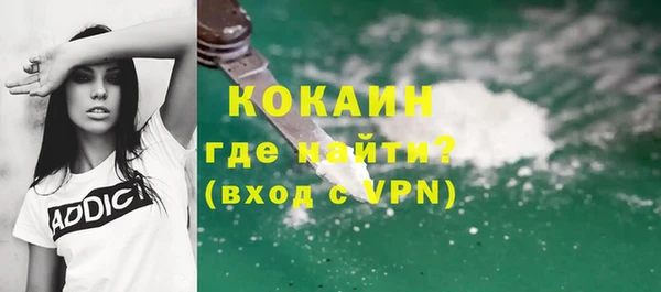 PSILOCYBIN Михайлов