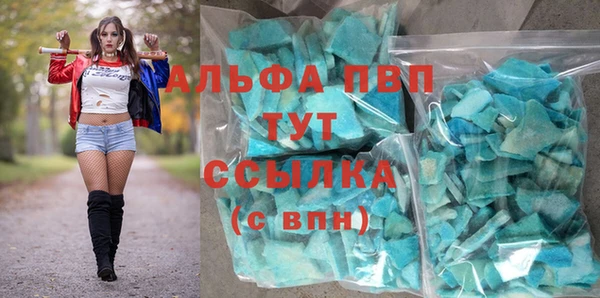 PSILOCYBIN Михайлов