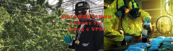PSILOCYBIN Михайлов